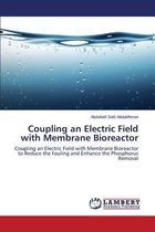 Coupling an Electric Field with Membrane Bioreactor