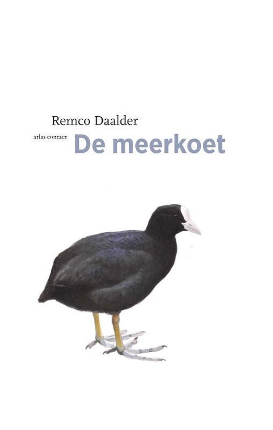 De vogelserie - De meerkoet - Remco Daalder | Northernlights300.org