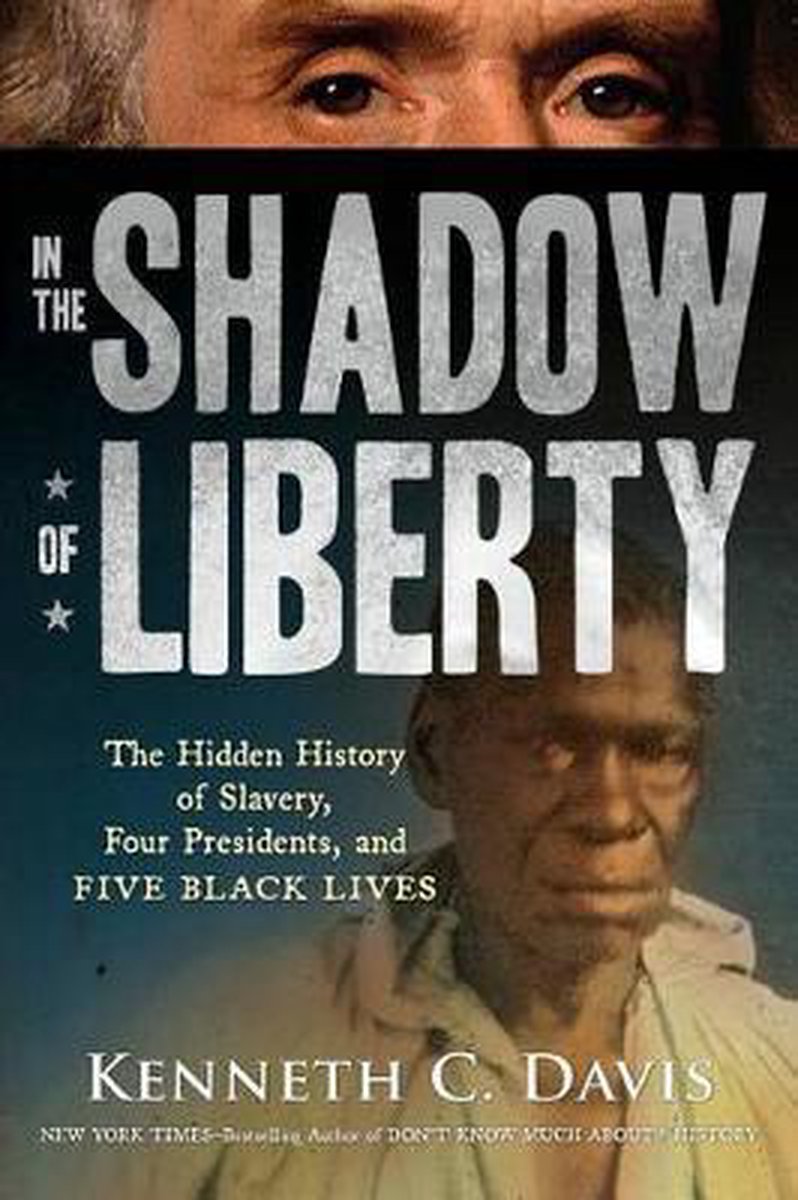In the Shadow of Liberty - Kenneth C Davis