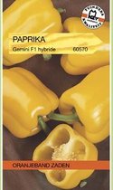Oranjebandzaden -  Paprika Gemini geel F1