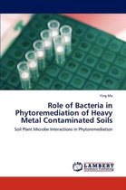 Role of Bacteria in Phytoremediation of Heavy Metal Contaminated Soils