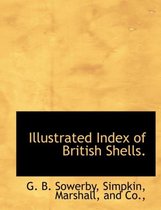 Illustrated Index of British Shells.