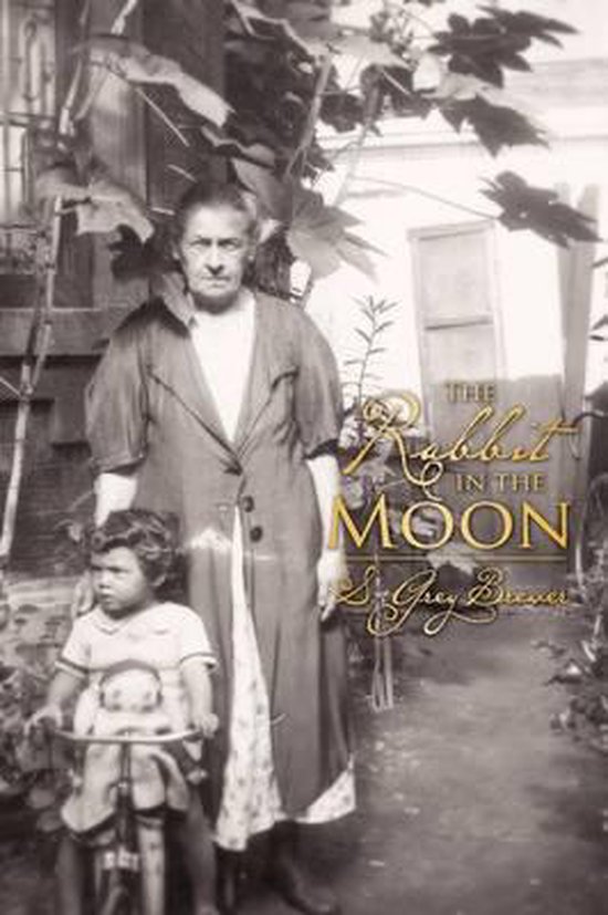 The Rabbit in the Moon - cover