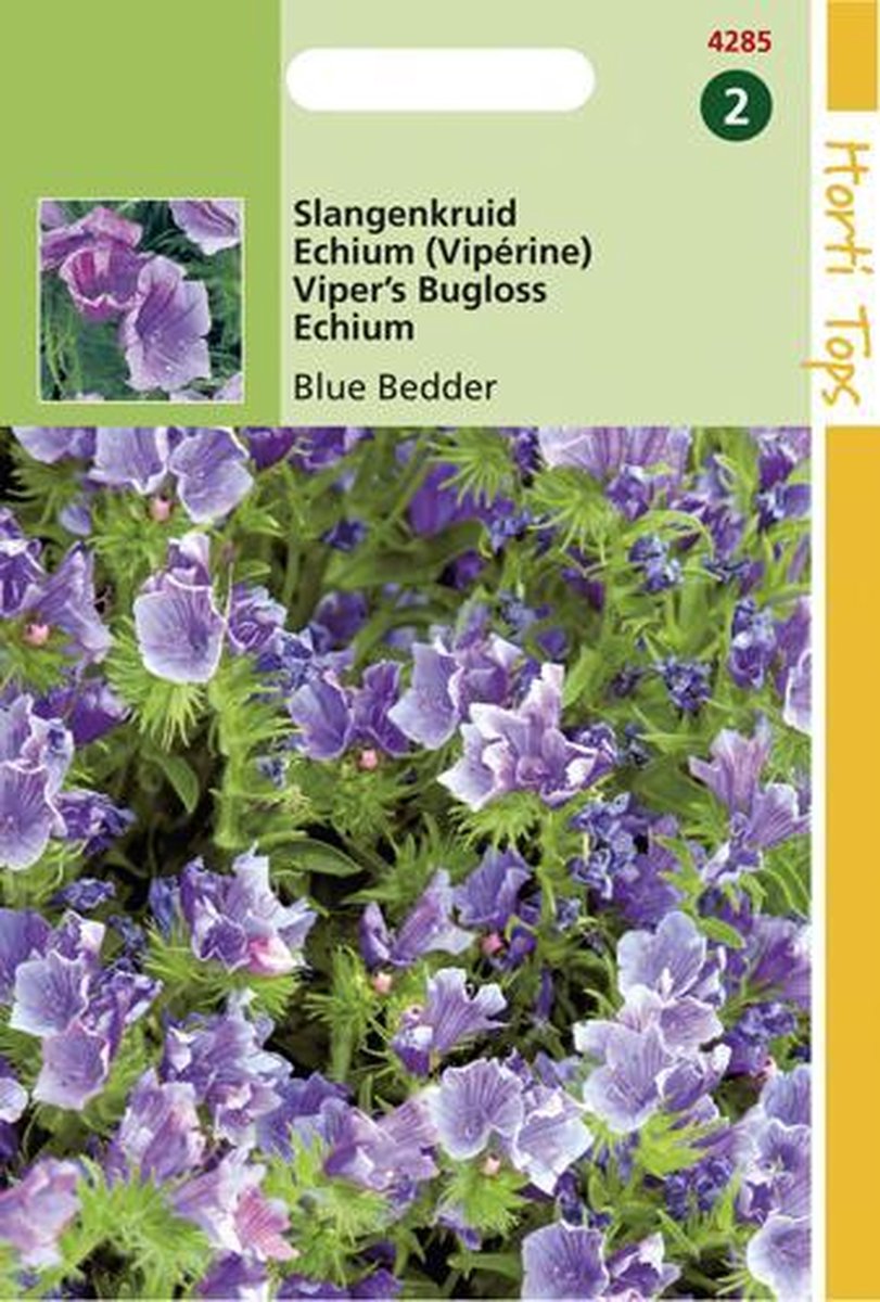 Hortitops Zaden - Echium Plantagineum Blue Bedder