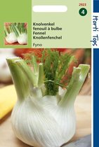 Graines Hortitops - Fenouil (Zefa) Fino
