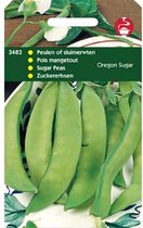 Hortitops Zaden - Peulen Oregon Sugar