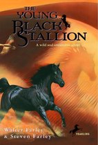 Black Stallion - The Young Black Stallion