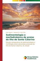 Sedimentologia e morfodinâmica de praias da Ilha de Santa Catarina