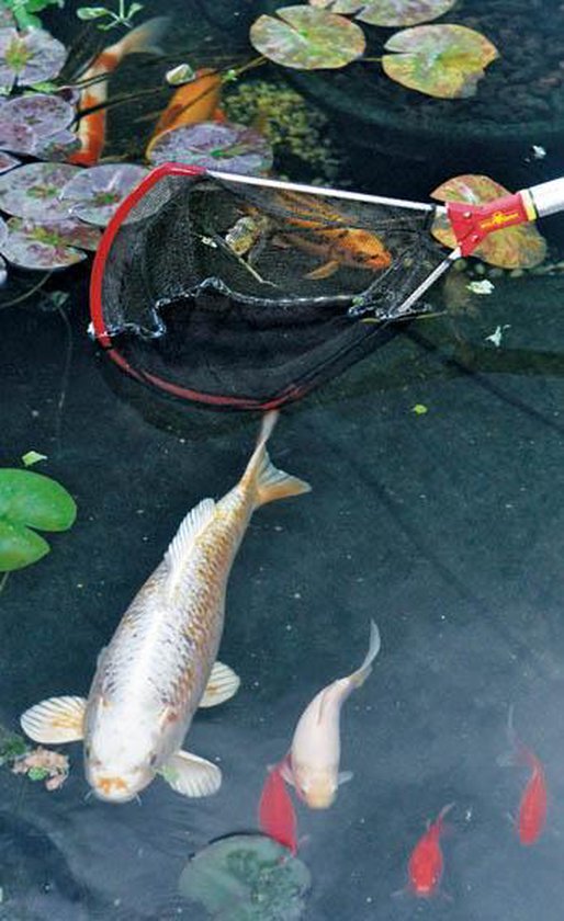 WOLF-Garten Vijvernet WF-M - Lengte 35 cm - Breedte 30 cm - Multi-StarÂ® - Vijververzorging