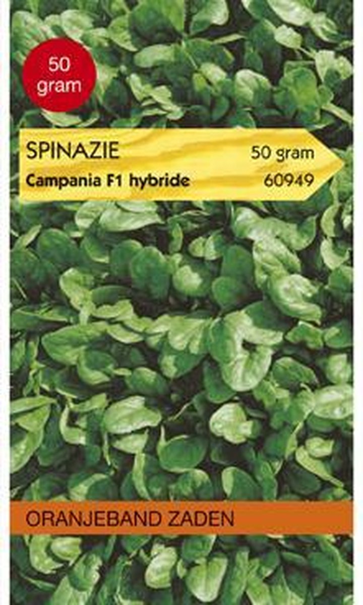 Oranjeband - Spinazie Campania F1 50 gram
