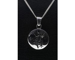 Zilveren Indiaan Hagedis rond 1 hopi style ketting hanger