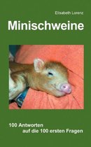 Minischweine