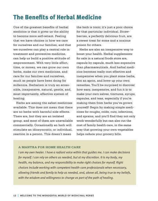 Beginners Guide To Medicinal Herbs