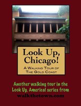 Look Up, Chicago! A Walking Tour of the Gold Coast