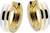 Glow oorringen - bicolor - scharnier - 14x4 mm