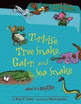 Animal Groups Are Categorical (TM)- Tortoise, Tree Snake, Gator, and Sea Snake