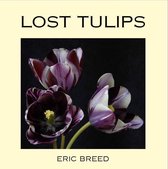 Lost tulips