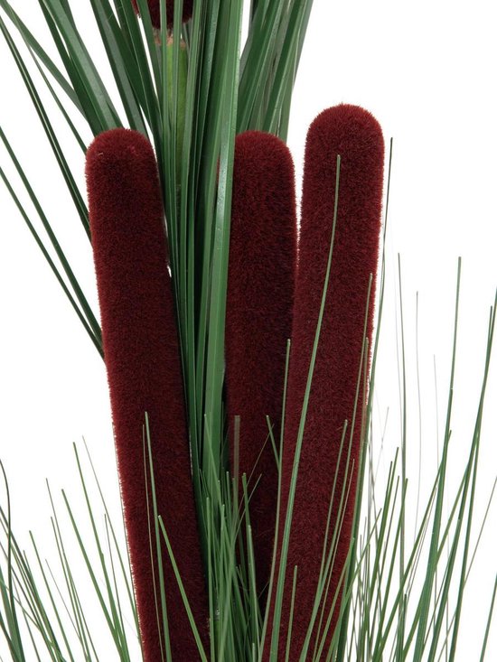 Europalms kunstplant gras Reed grass with cattails,dark-green, 152cm