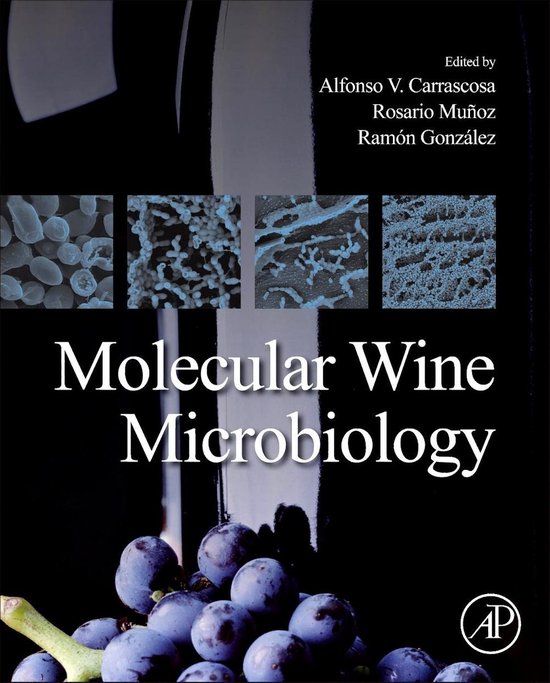 Molecular Wine Microbiology - cover