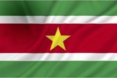 Dokkumer Vlaggen Centrale - Surinaamse vlag - 100 x 150 cm