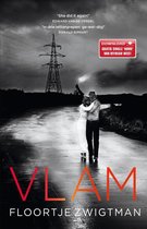 Vlam
