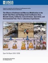 The Effects of Sediment and Mercury Mobilization in the South Yuba River and Humbug Creek Confluence Area, Nevada County, California