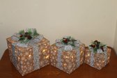 3 decoratieve kerstcadeaus - Sisal met zilveren strik - 35 witte led lampjes - Kerstboom