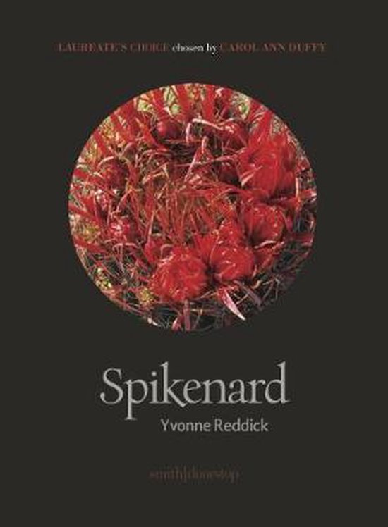 Foto: Spikenard