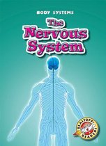 The Nervous System