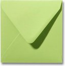 Enveloppe 16 x 16 Vert tilleul, 60 pièces