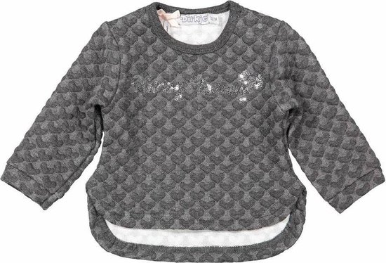 Dirkje sweater Grijs - Soft Hunny Bunny Maat: 86