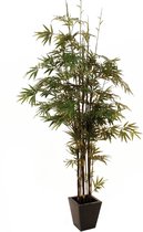 Europalms - Bamboe / Bamboo - 240 cm - Groen - Kunstplant