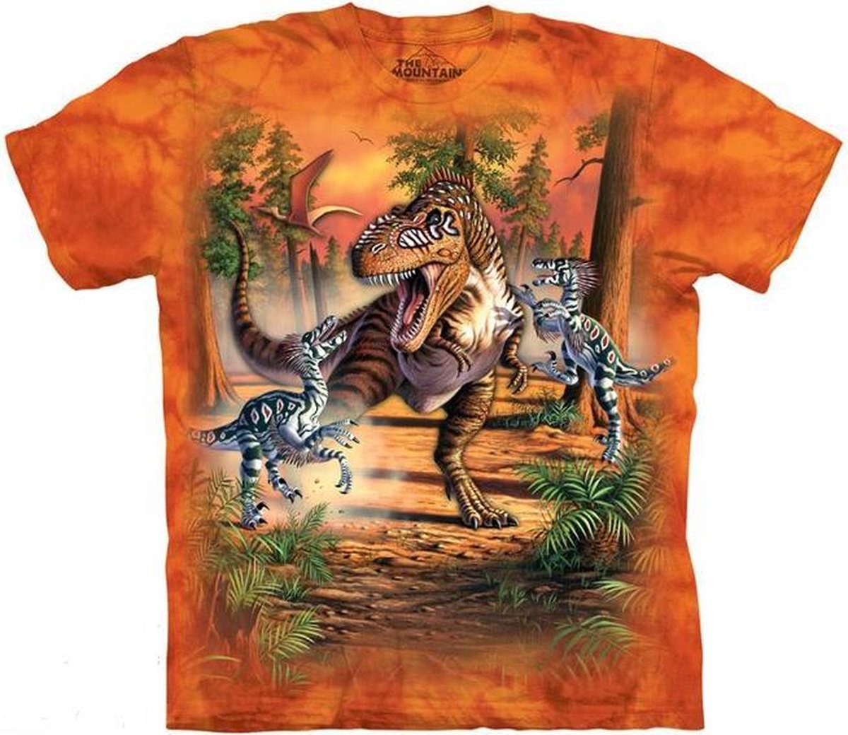 ongeluk Magnetisch Betreffende Dinosaurus kleding - T-shirt - Oranje - kids - maat 128 | bol.com
