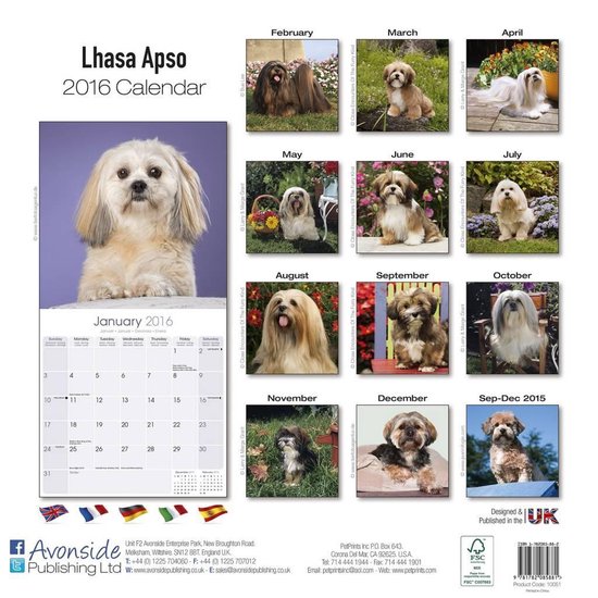 Lhasa Apso Calendar 2016, Avonside Publishing Ltd 9781782085881