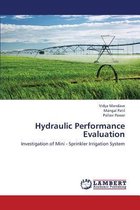 Hydraulic Performance Evaluation