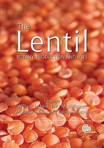 Lentil