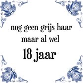 Verjaardag Tegeltje met Spreuk (18 jaar: Nog geen grijs haar, maar al wel 18 jaar + cadeau verpakking & plakhanger