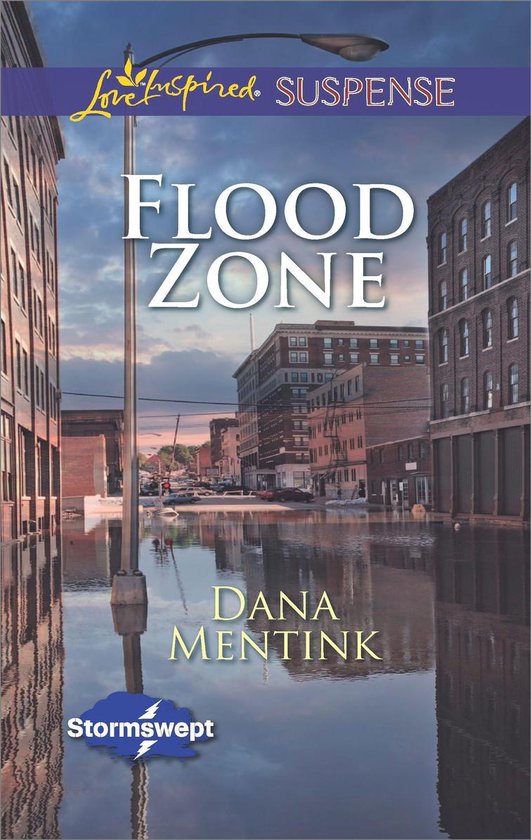 Flood Zone - cover