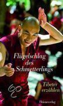 Flügelschlag Des Schmetterlings