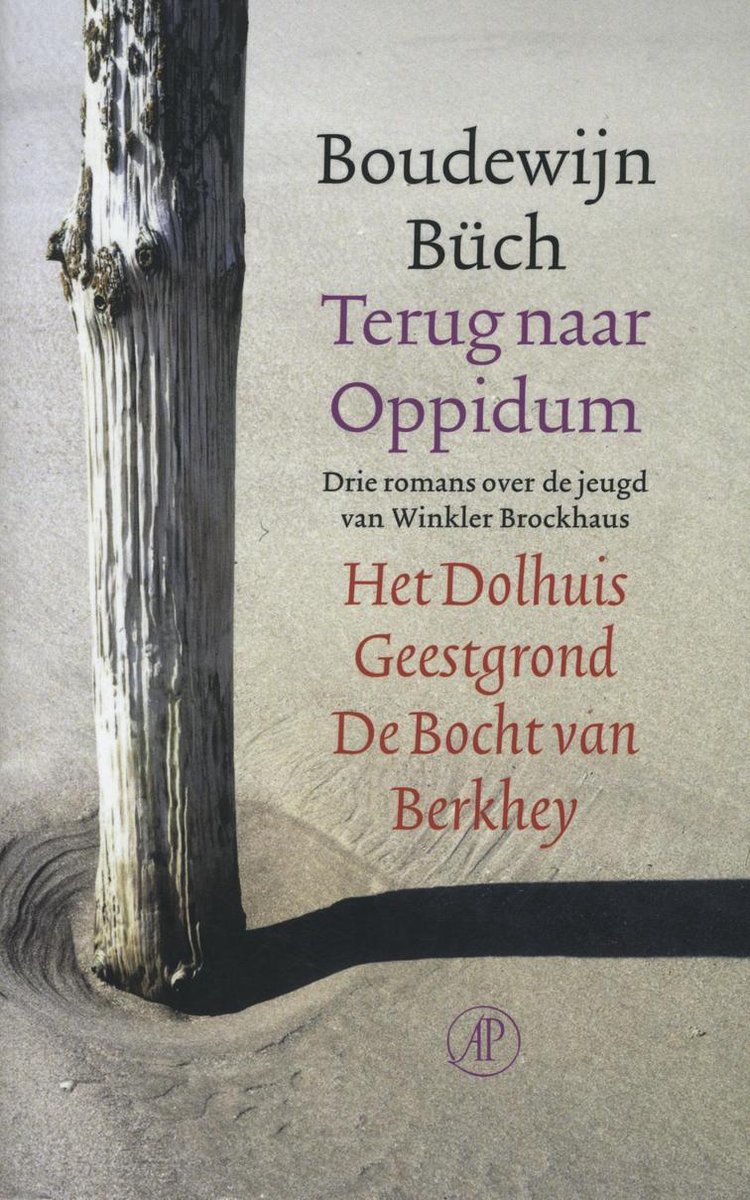 Terug naar Oppidum - Boudewijn Buch