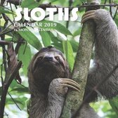 Sloths Calendar 2019