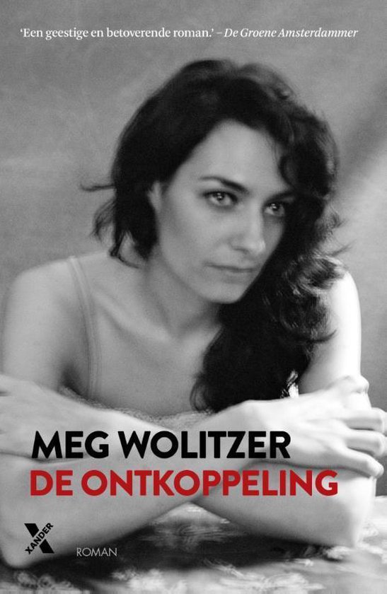 De ontkoppeling - Meg Wolitzer | Respetofundacion.org