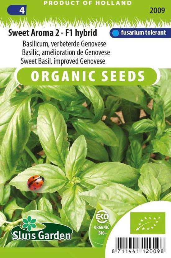 Sluis Garden - Basilicum Sweet Aroma 2 F Biologisch (Ocimum basilicum)
