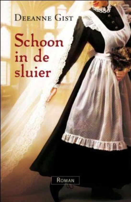 SCHOON IN DE SLUIER - cover