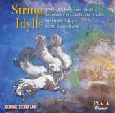 Orchestre Symphonique De La Columbi - String Idylls (CD)