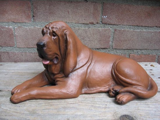beeld hond Bloedhond / Sint Hubertushond hondenbeeld