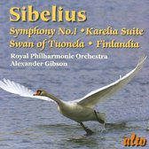 Sibelius Sym.1 / Karelia / Swan / Finlandia