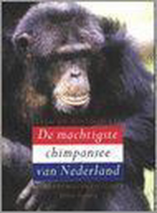 Foto: Machtigste chimpansee van nederland