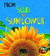 From Seed to Sunflower