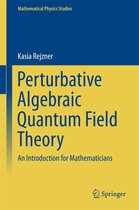 Mathematical Physics Studies - Perturbative Algebraic Quantum Field Theory